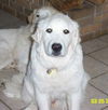 DaisyMae