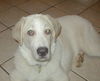 Oliver