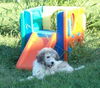 Kallie