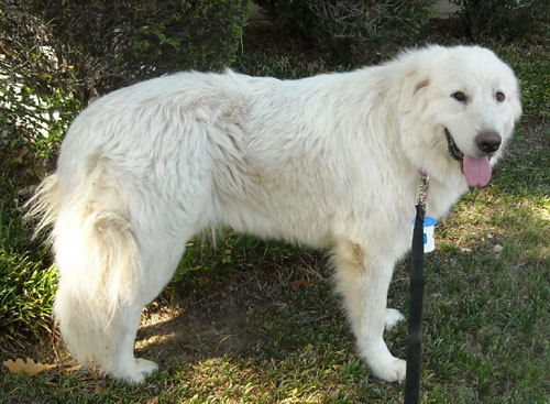 Fiona