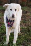 Dolly - Photo 7