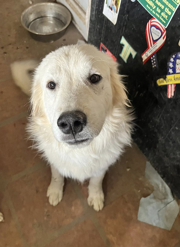 Tucker