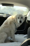 Tucker - Photo 5