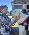 Tucker - Photo 3