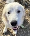 Tucker - Photo 1