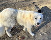 Tucker - Photo 2