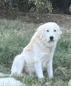 Tucker - Photo 7