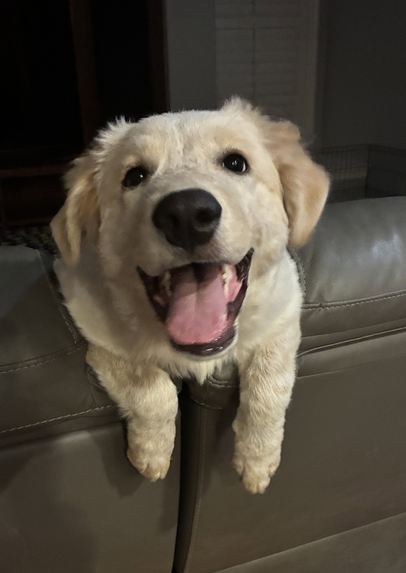 Luna