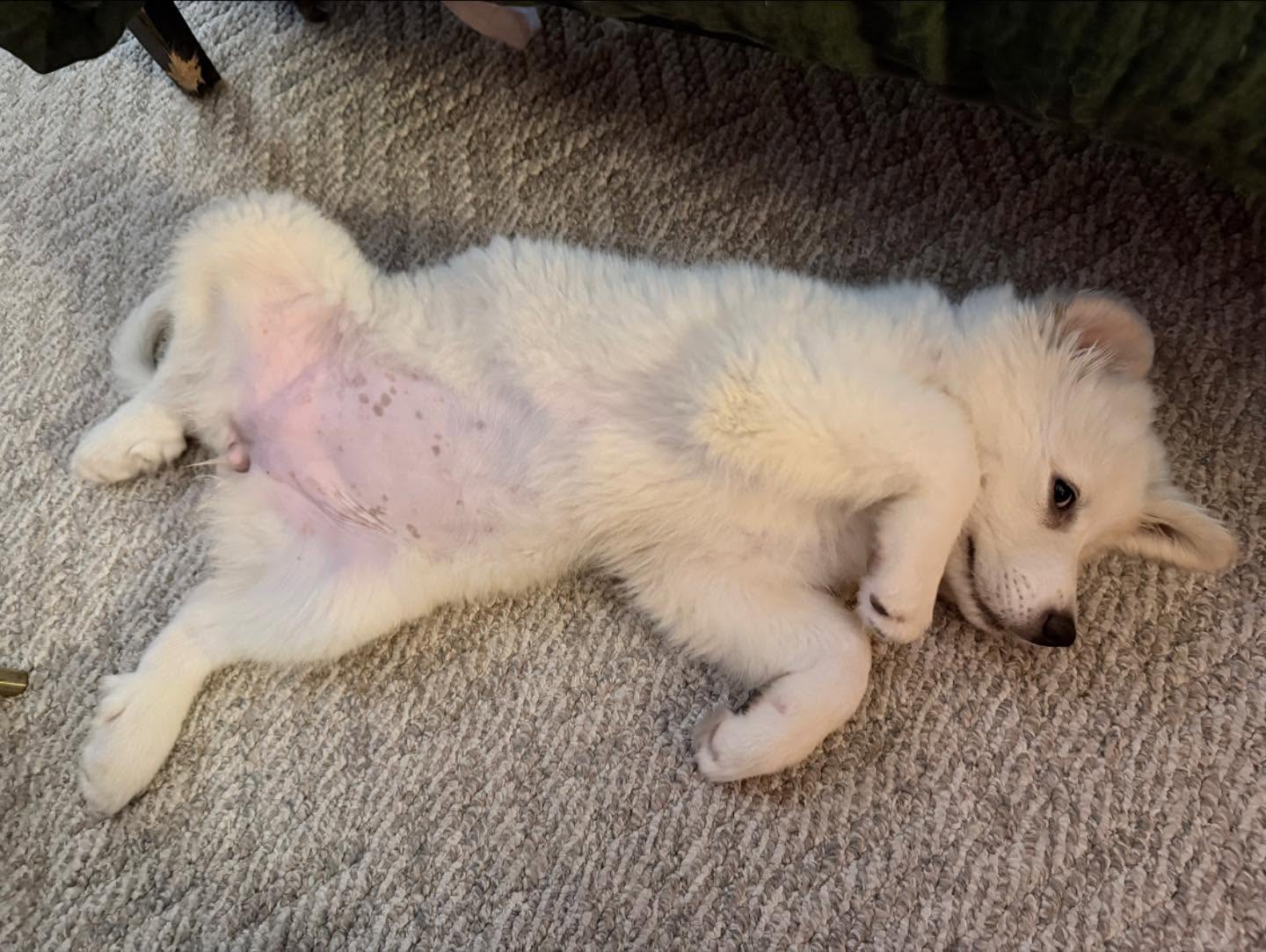 Rosie