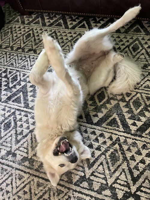 Luna photo 5