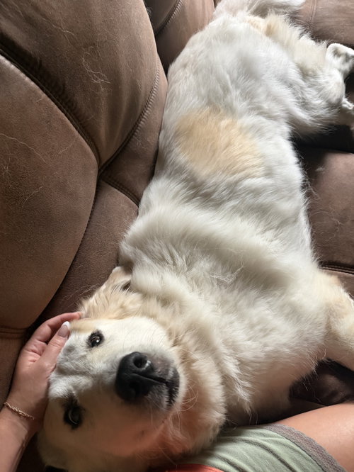 Luna photo 10