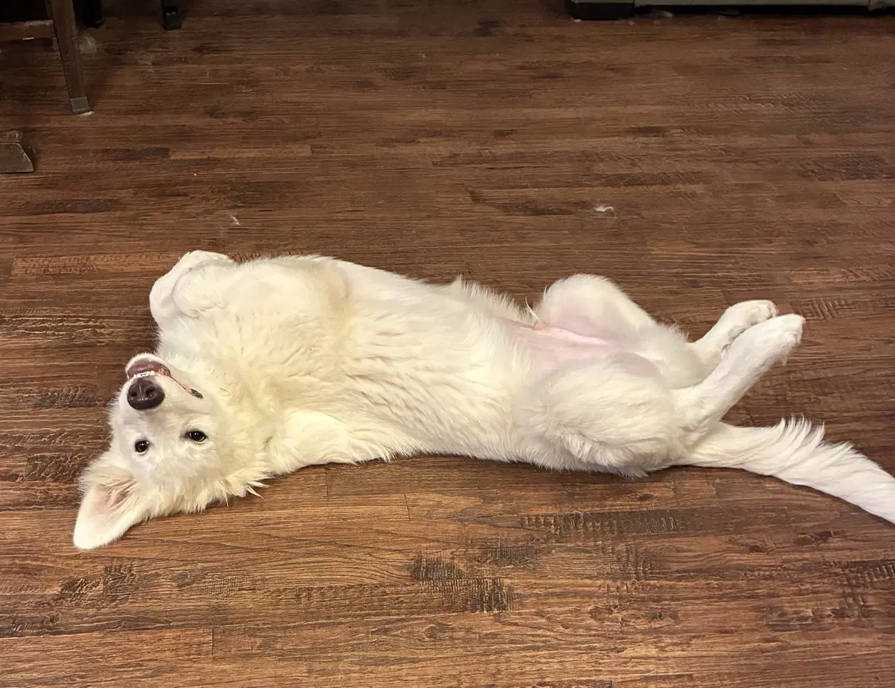 Max image 2