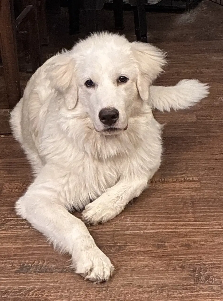 Max image 3