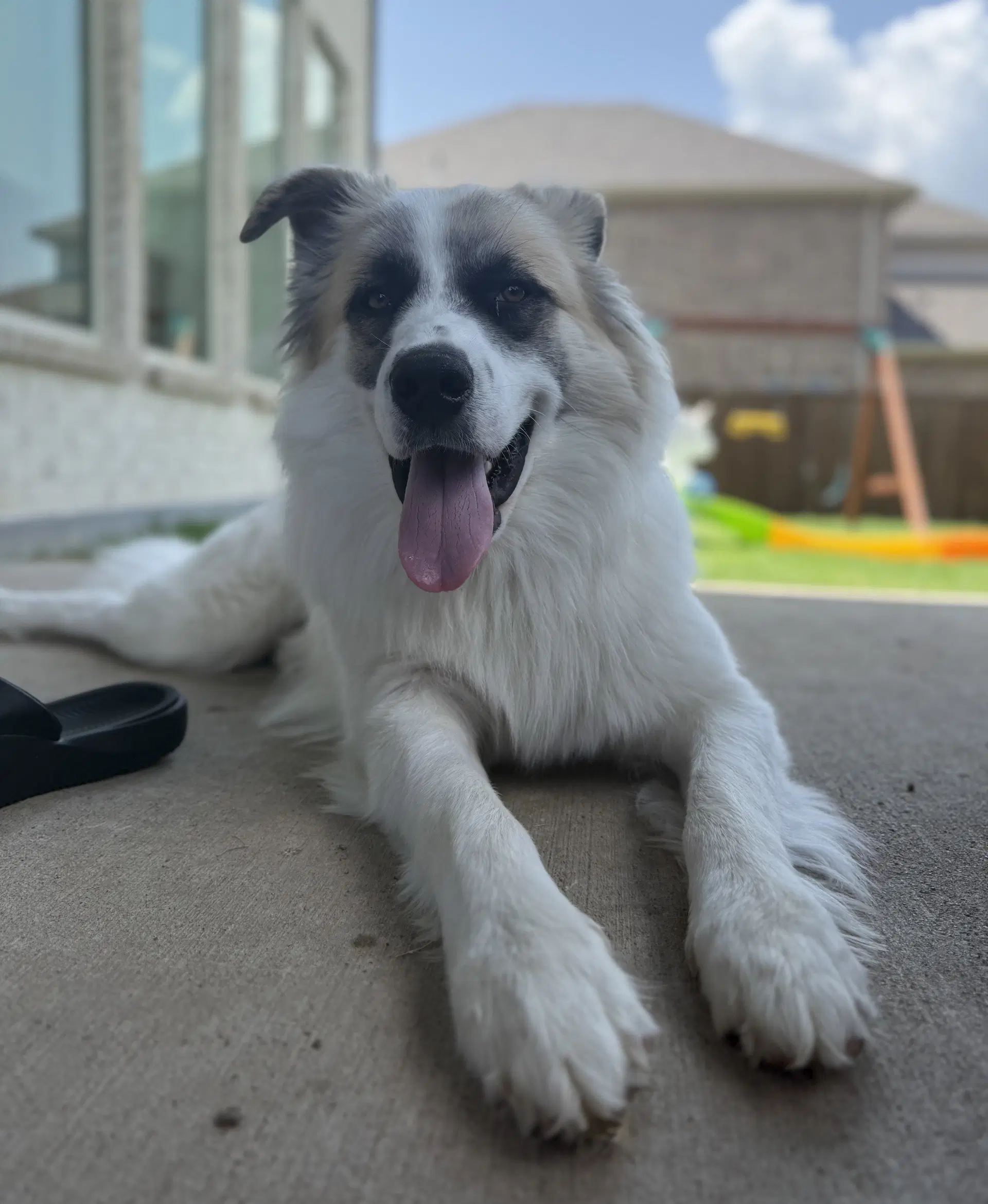 Obi image 3