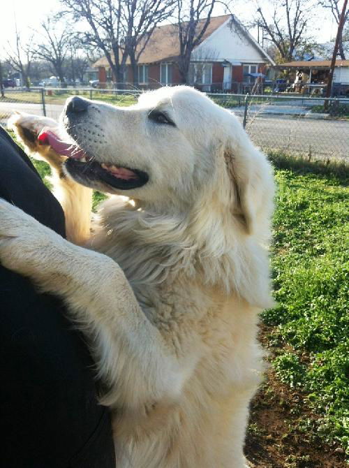 Baxter