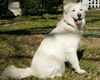 Lilly Belle