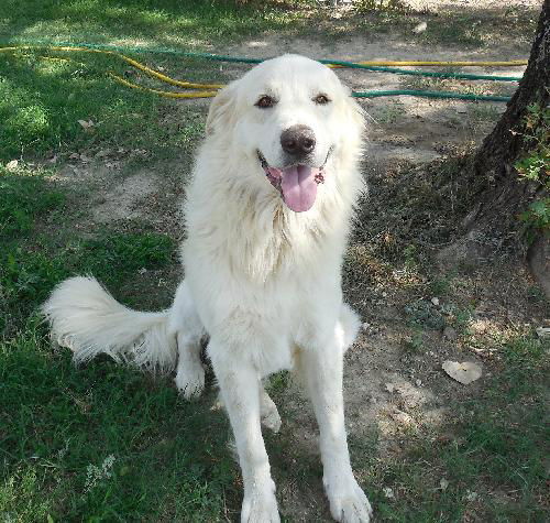 Casper