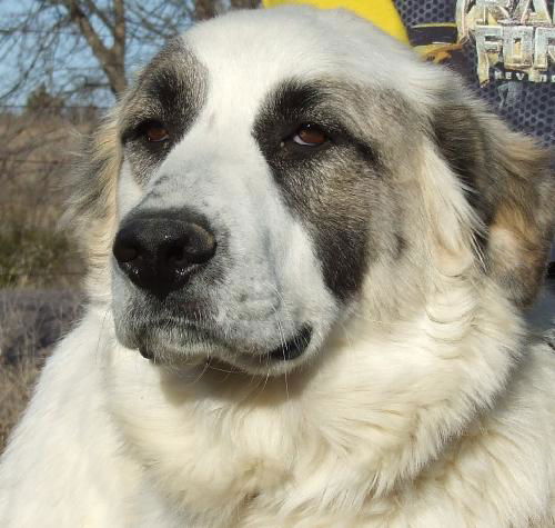 Keisha