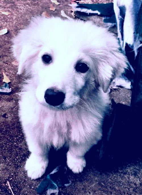 Barnaby
