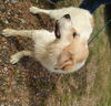 Riley
