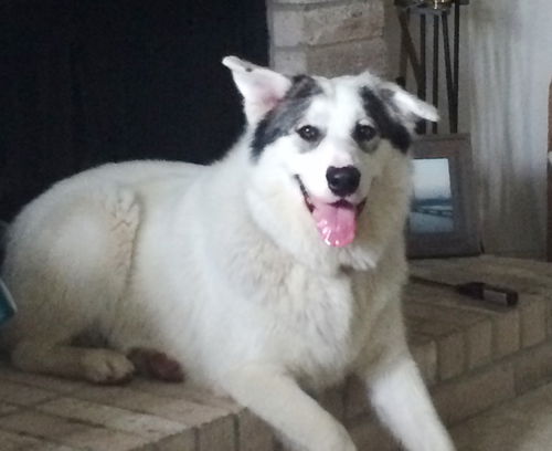Zoey