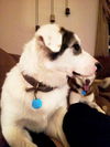 Zoey