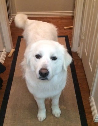 Fiona