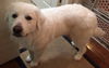 Fiona