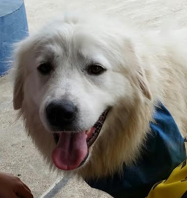 Shiloh