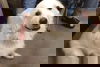 Tucker