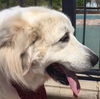 Finnegan
