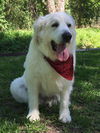 Finnegan