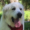 Finnegan