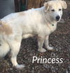 Princess