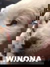 Winona