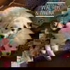 Walter