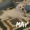 May