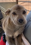 Moe (renamed Max) (1/1)