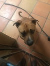 Rusty (1/1)