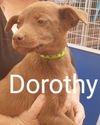 Dorothy (now Coco)