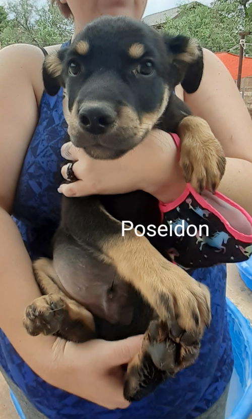 Poseidon (Rusty)