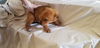 Sunny (now Lily)