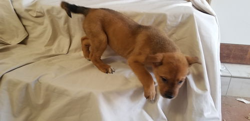 Sunny (now Lily)