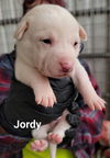 Jordy (renamed Charlie)