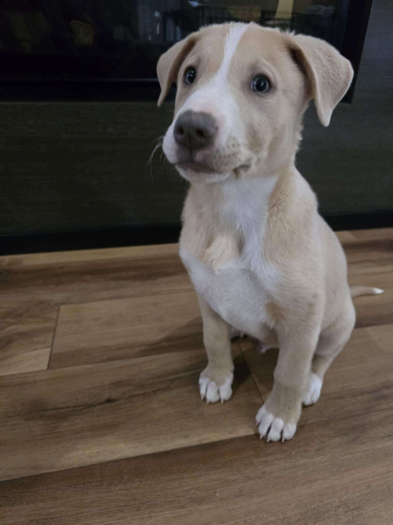 Charlie