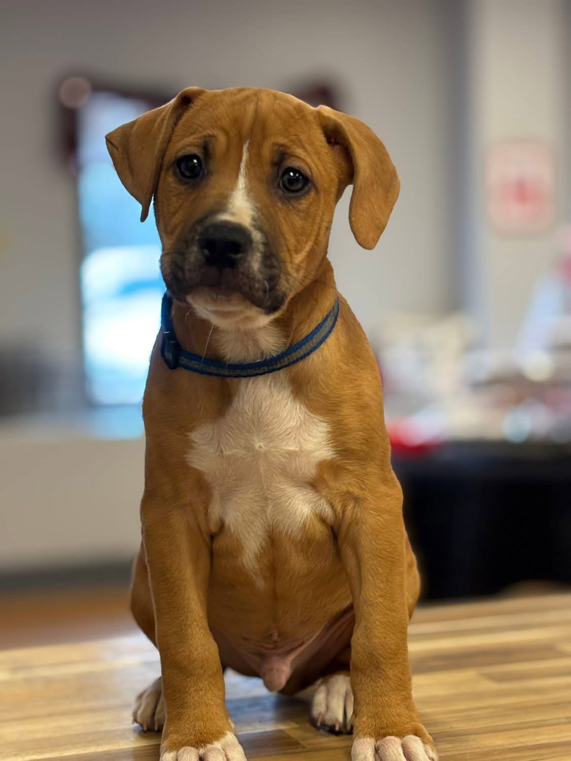 Tucker