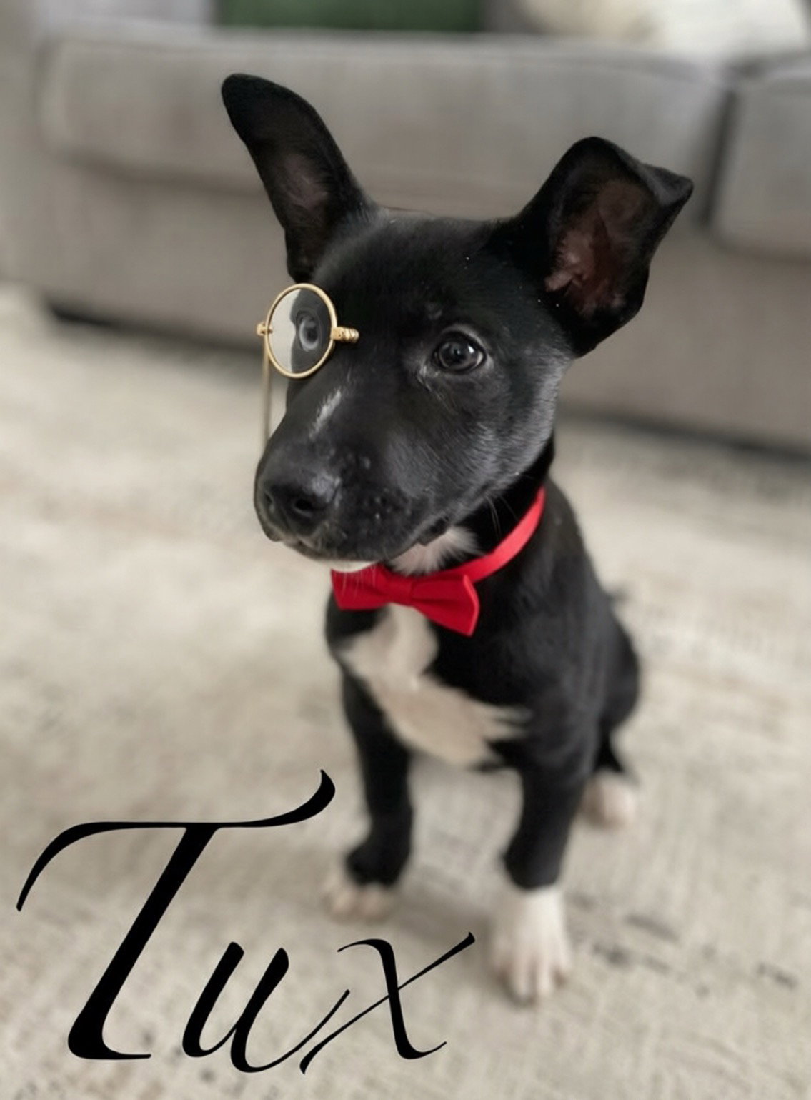 Tux