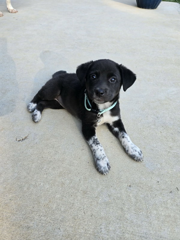 Ethel