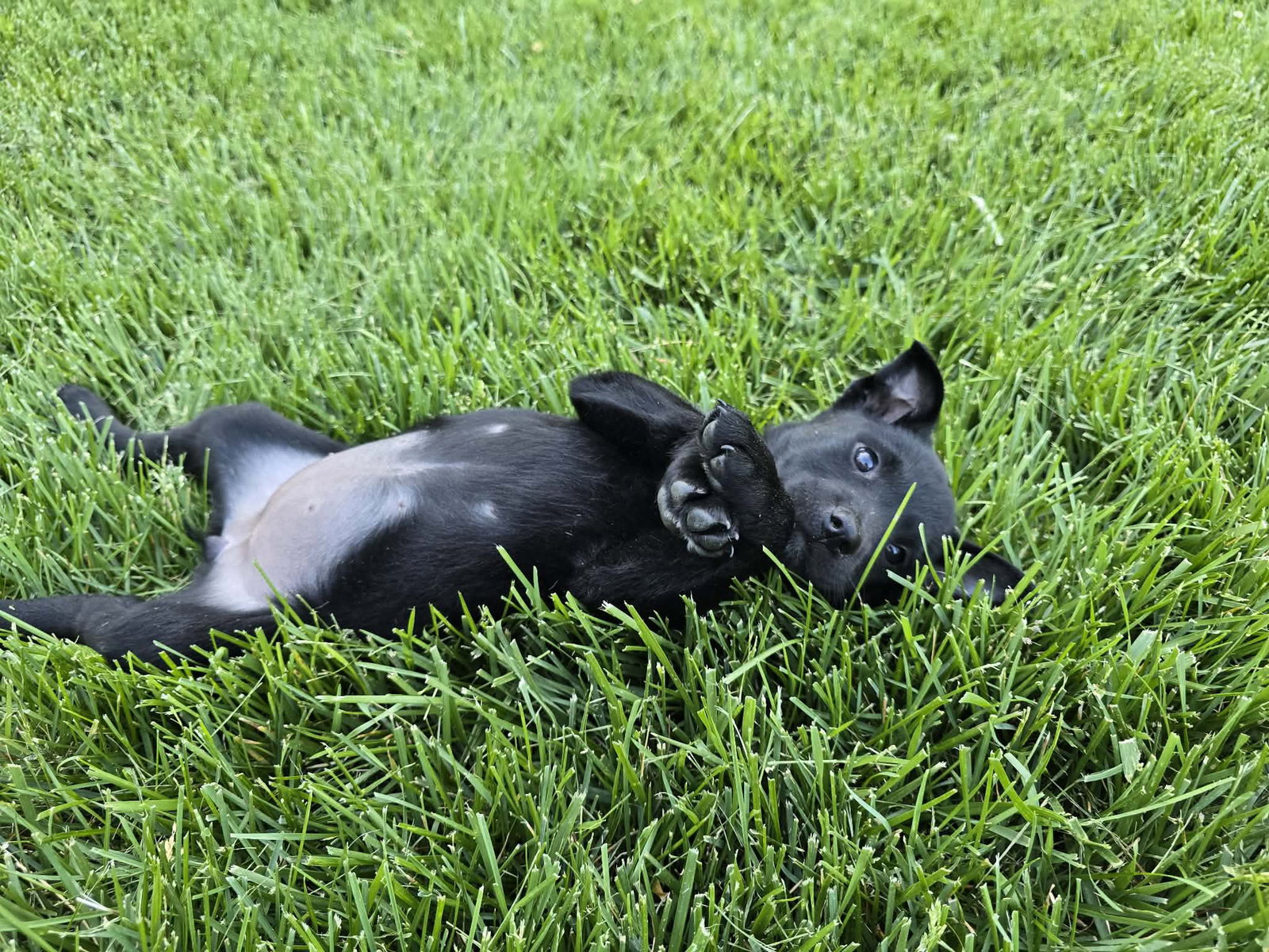 Lucy