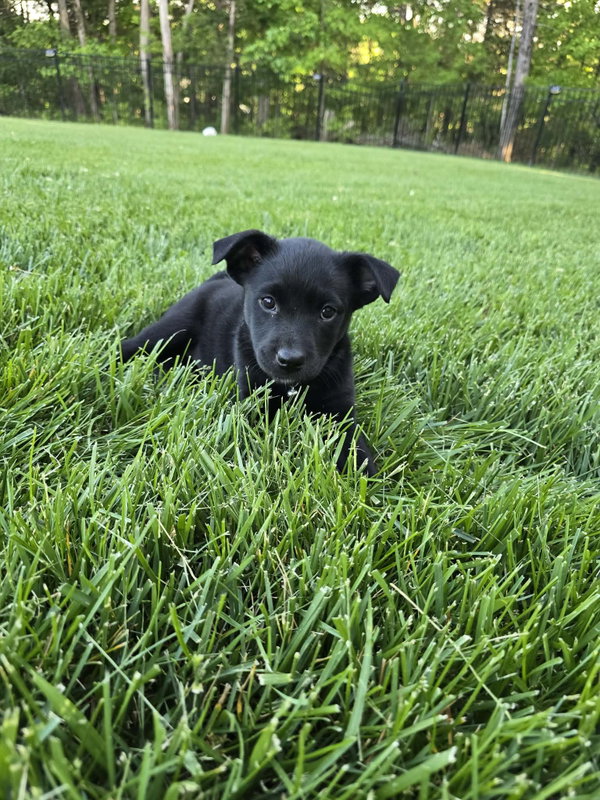 Lucy
